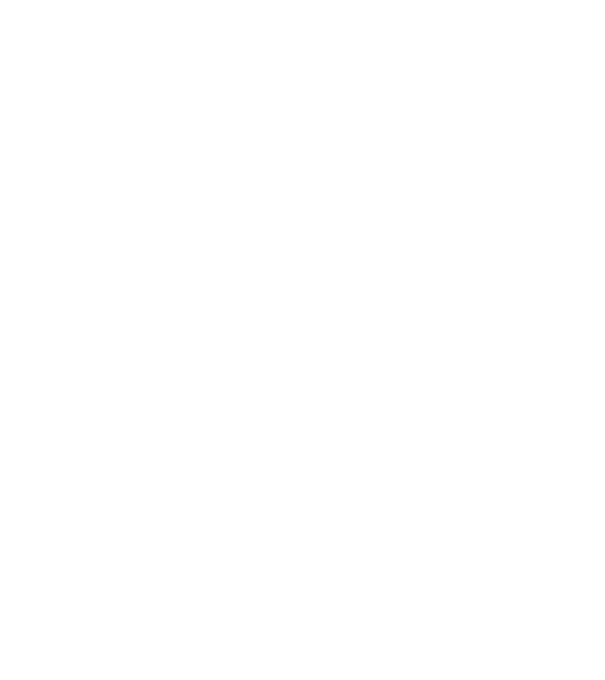 Craniu Viking model negru pe tricou