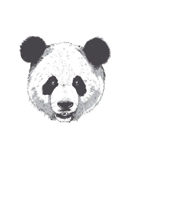 Cap de panda model albastru deschis pe tricou