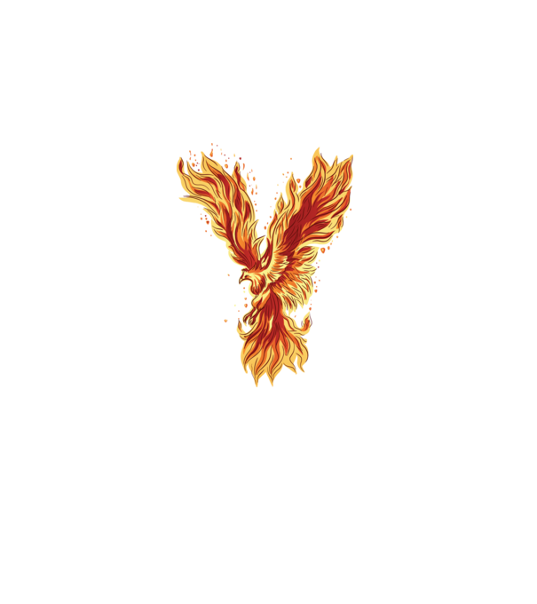 Pasărea Phoenix model negru pe tricou