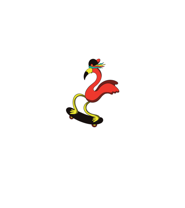 Flamingo Skateboarder model alb pe tricou