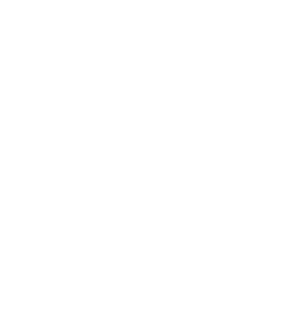 Love hochei model negru pe tricou