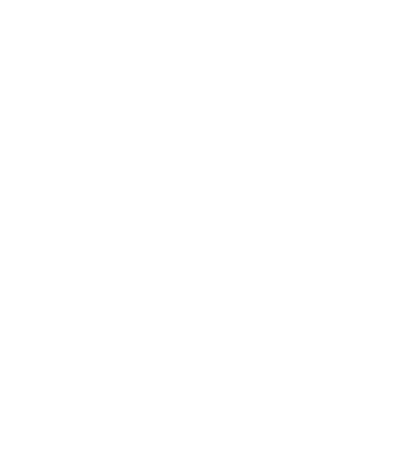 Quarantine and chill model gri pe tricou