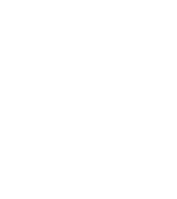 Craniu Viking model negru pe tricou