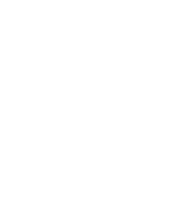 Craniu Viking model negru pe tricou
