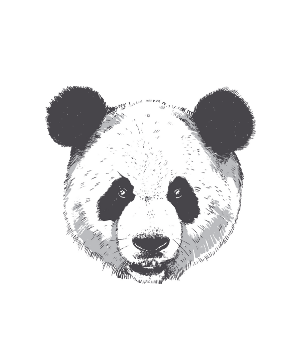 Cap de panda model alb pe tricou
