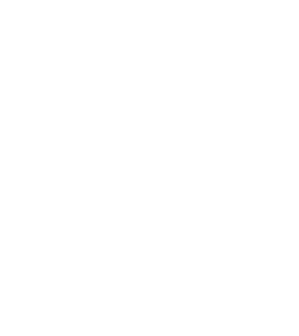 Love hochei model negru pe tricou