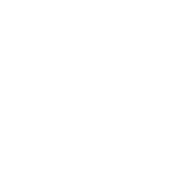 Craniu Viking model negru pe tricou
