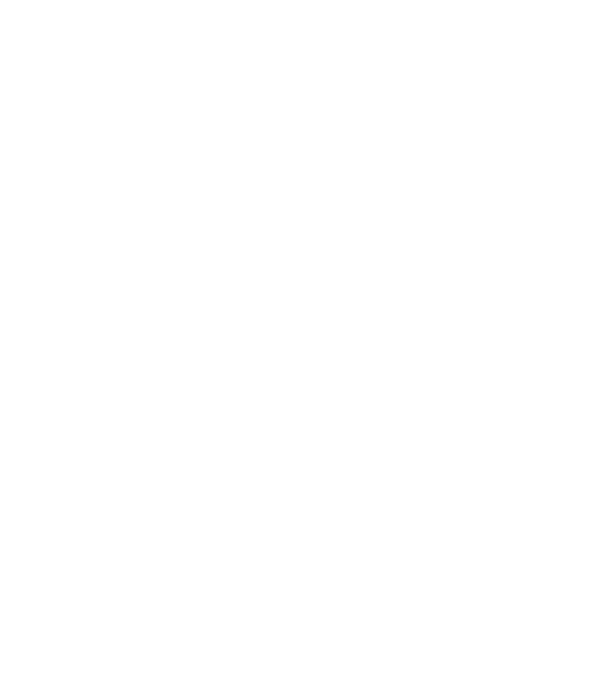 Love hochei model gri pe tricou