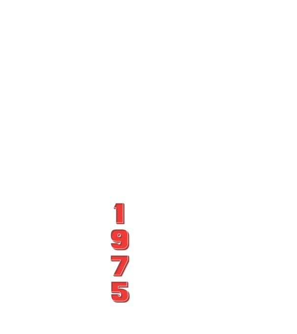 1975 the birth of legends model alb pe tricou