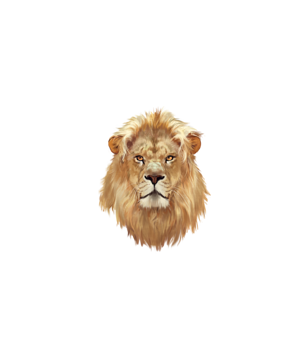 lion head paint model alb pe tricou