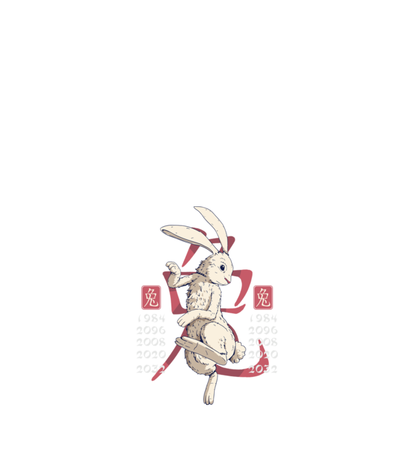 Year of the Rabbit model negru pe tricou