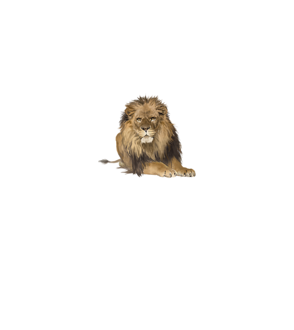 lion king model gri pe tricou