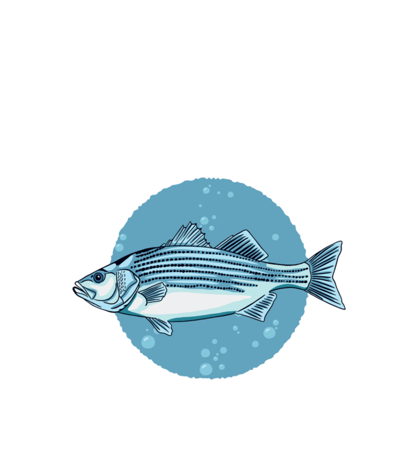 Biban de mare model turcoaz pe tricou