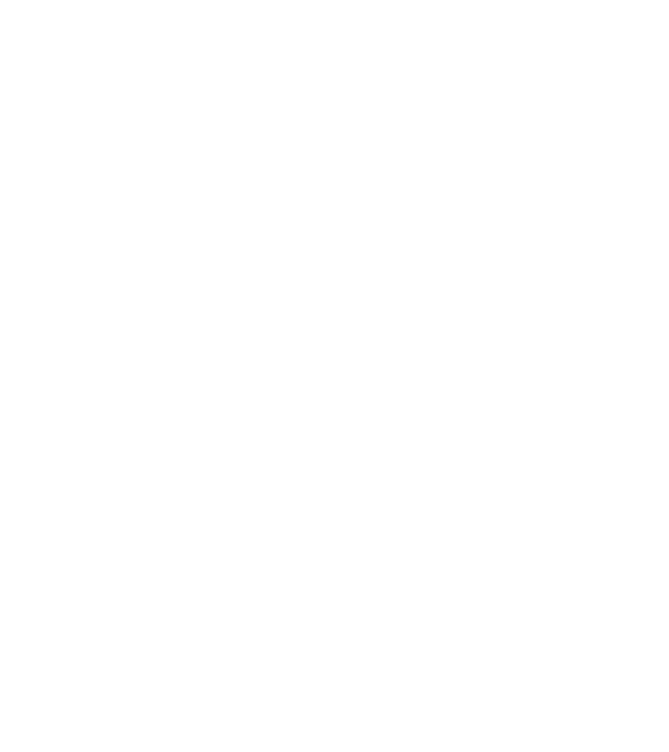 Craniu Viking model negru pe tricou