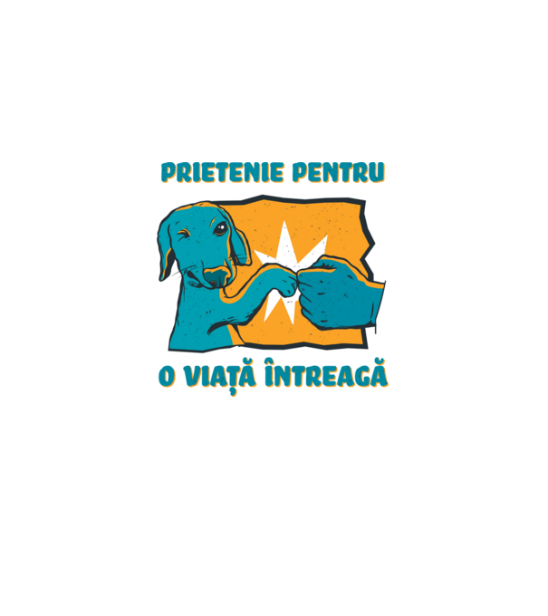 Prietenie pentru o viață întreagă model alb pe tricou
