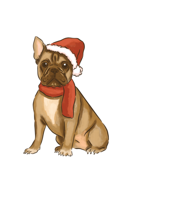 Bulldog francez de Crăciun model albastru deschis pe tricou