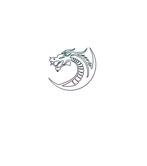 Dragon Tribal model negru pe tricou