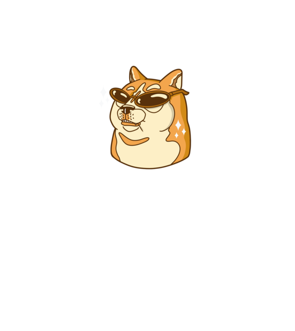 Doge Coin model turcoaz pe tricou