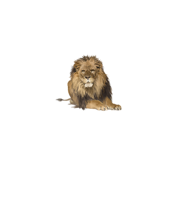 lion king model gri pe tricou