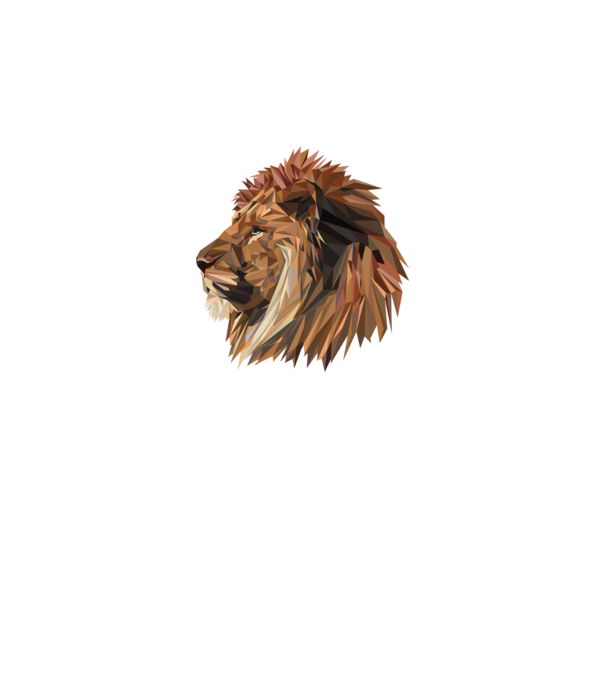 lion polygon model gri pe tricou