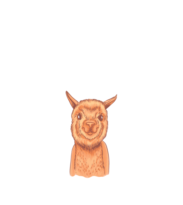 Cap de Alpaca model alb pe tricou