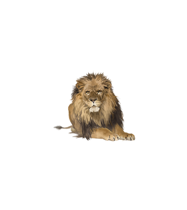 lion king model gri pe tricou