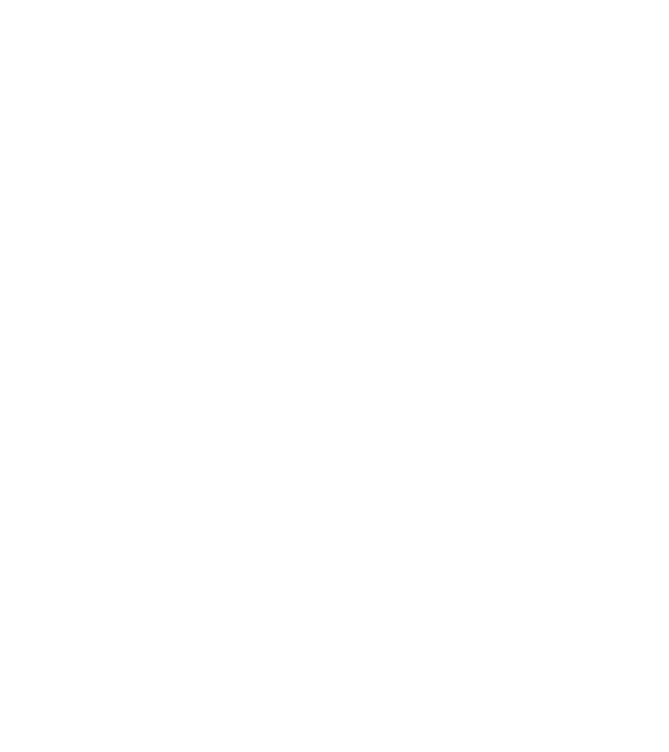 Love hochei model negru pe tricou
