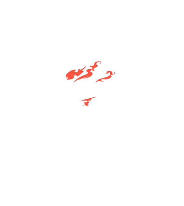 Detector de metale Casetă model negru pe tricou
