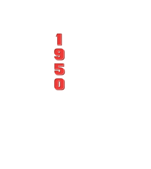 1950 the birth of legends model gri pe tricou