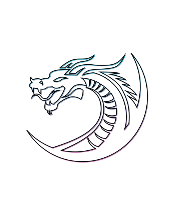 Dragon Tribal model alb pe tricou