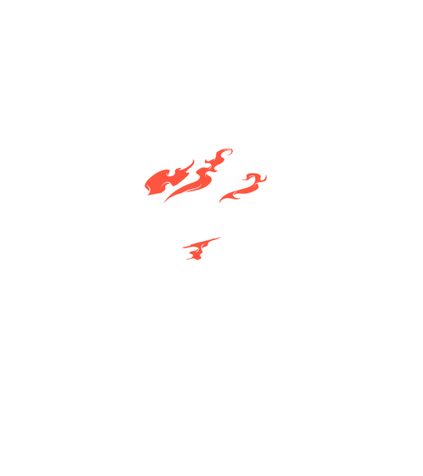 Detector de metale Casetă model negru pe tricou