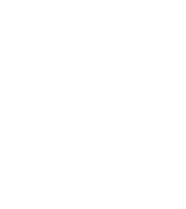 Love hochei model negru pe tricou