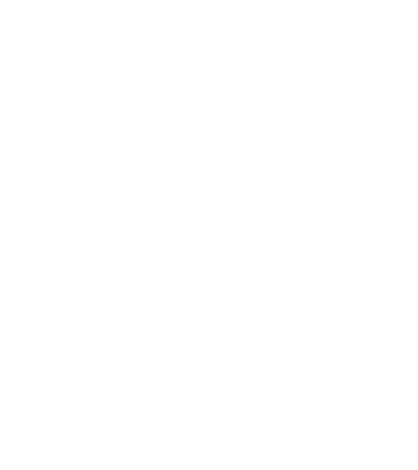 Unite for a better America - Biden Harris model alb pe tricou