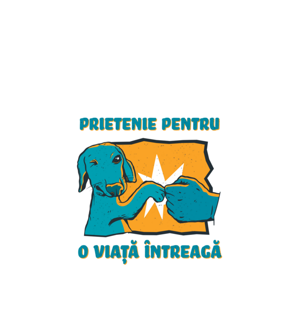 Prietenie pentru o viață întreagă model alb pe tricou