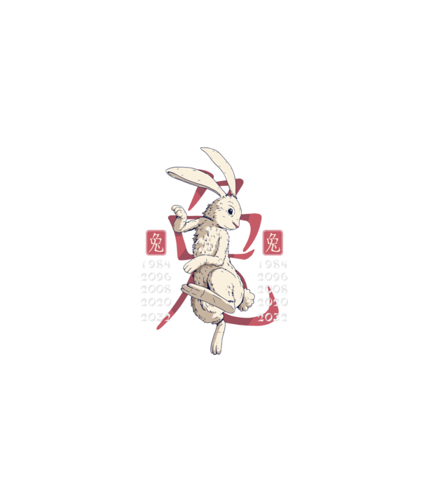 Year of the Rabbit model negru pe tricou