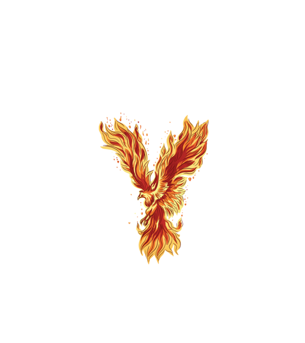 Pasărea Phoenix model negru pe tricou