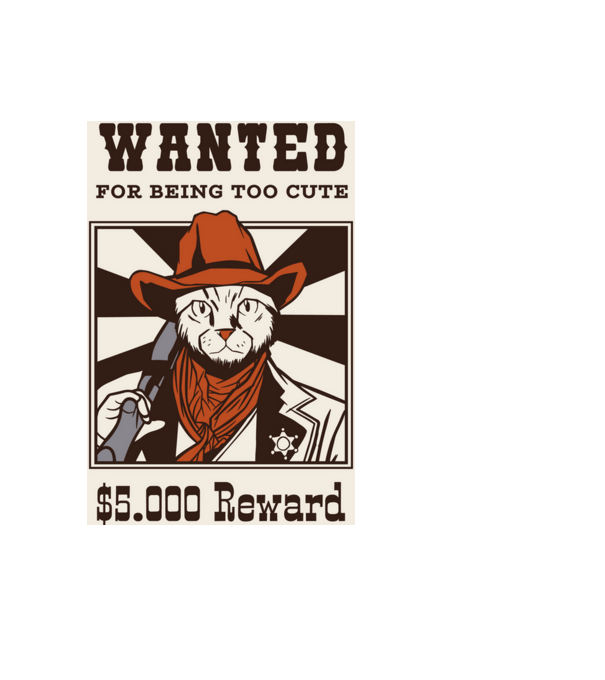 Wanted for being too cute Cowboy cu pisică model negru pe tricou