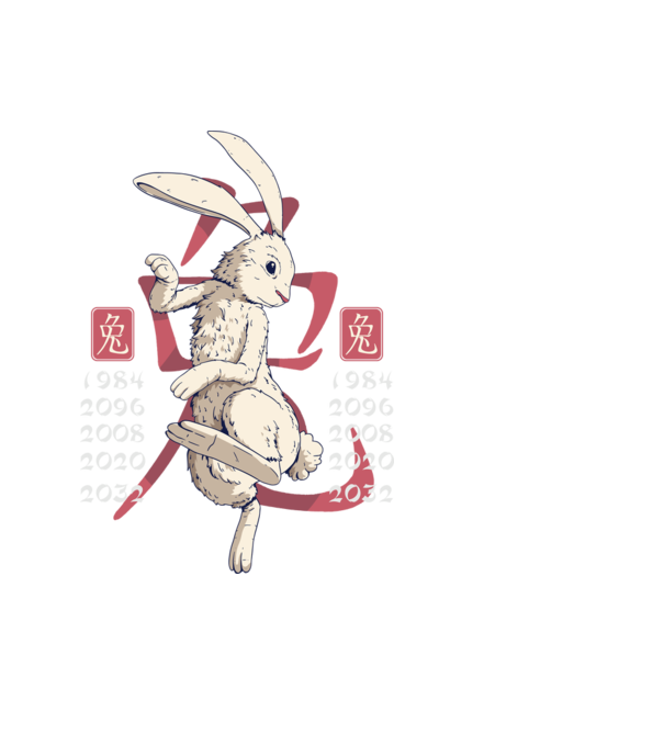 Year of the Rabbit model negru pe tricou