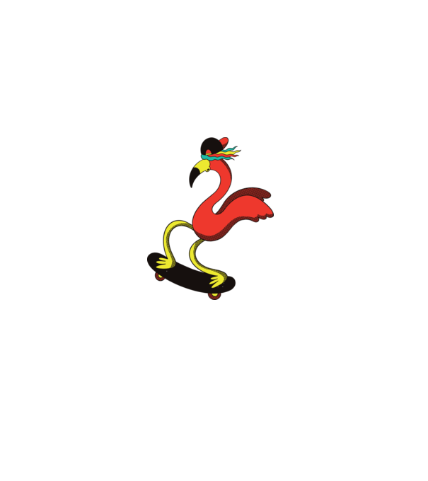 Flamingo Skateboarder model alb pe tricou
