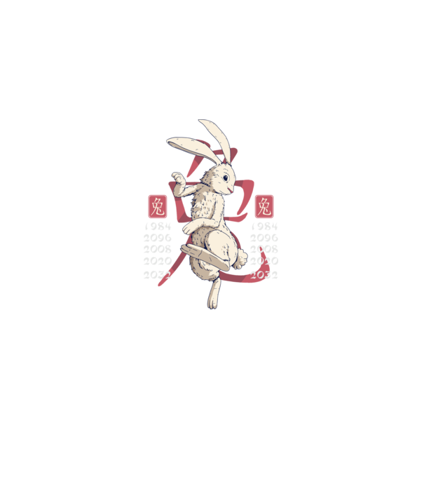 Year of the Rabbit model negru pe tricou