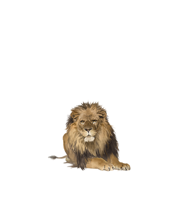lion king model nisipiu pe tricou
