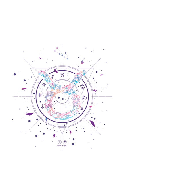 Taurus Zodiac model negru pe tricou