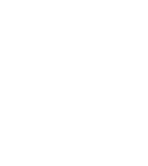 Love hochei model negru pe tricou