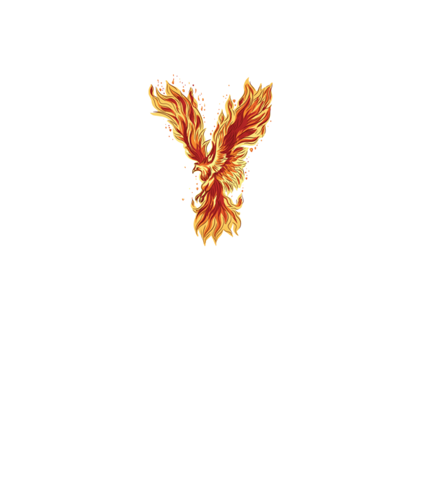 Pasărea Phoenix model gri închis pe tricou