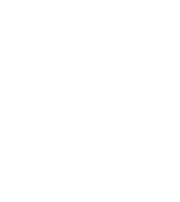 Craniu Viking model negru pe tricou