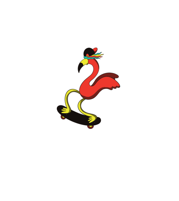 Flamingo Skateboarder model alb pe tricou