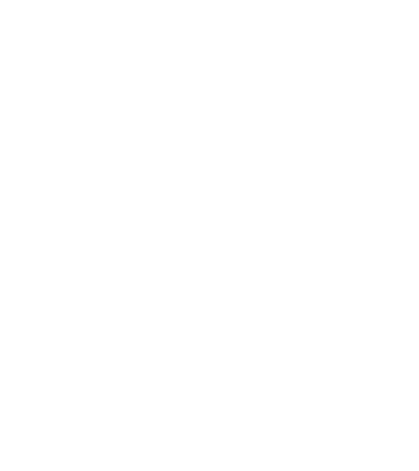 Love hochei model negru pe tricou