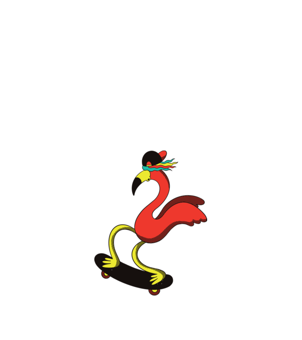 Flamingo Skateboarder model alb pe tricou
