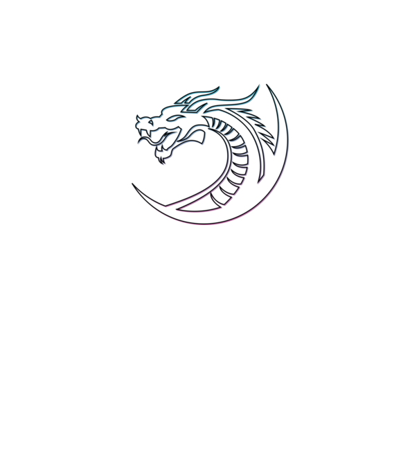 Dragon Tribal model negru pe tricou