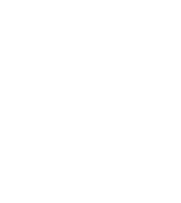 Craniu Viking model albastru jeanși pe tricou